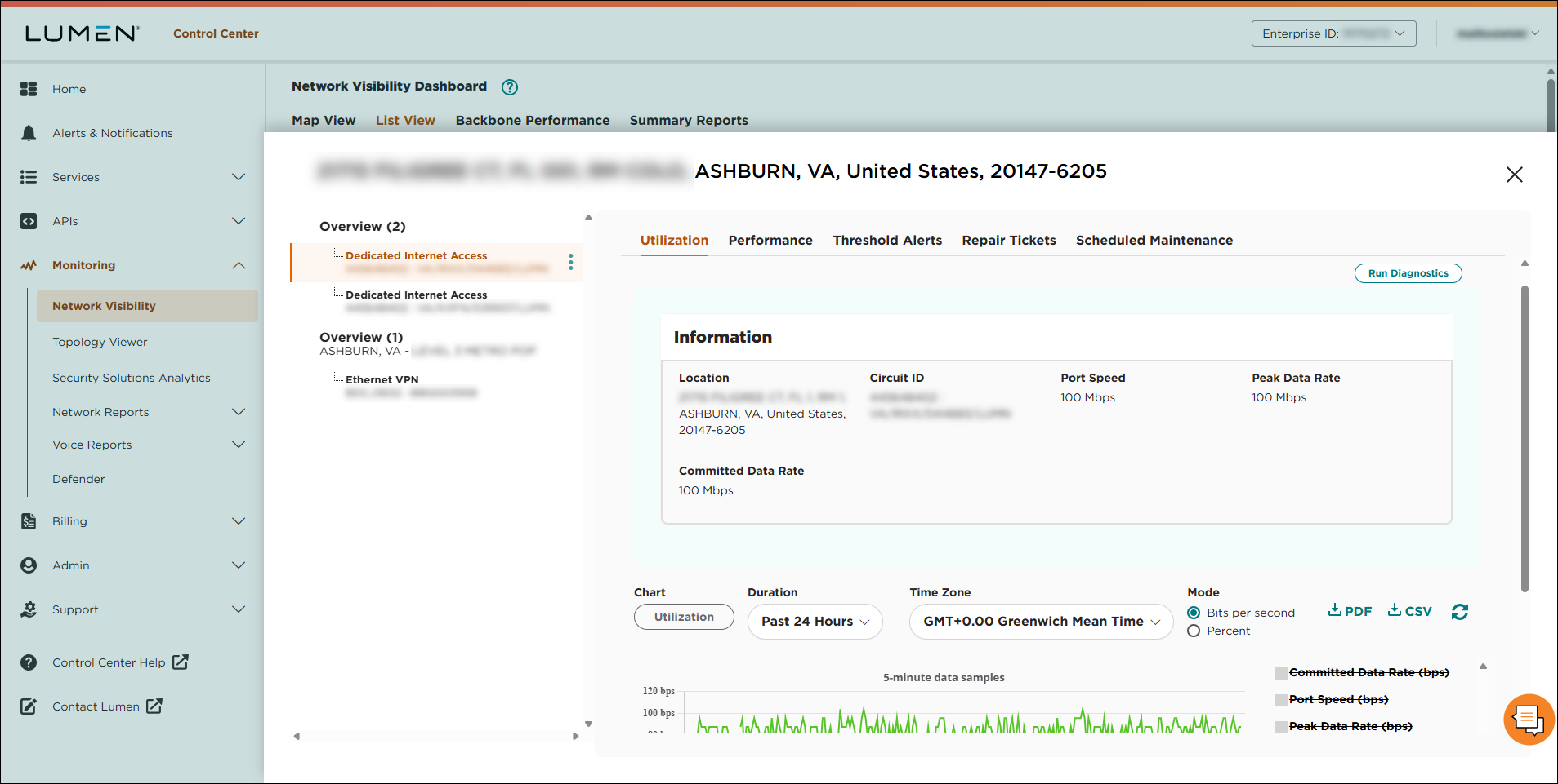 Network Visibility (showing details for a DIA service)